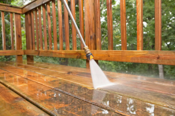 Best Roof Washing  in Wewahitchka, FL
